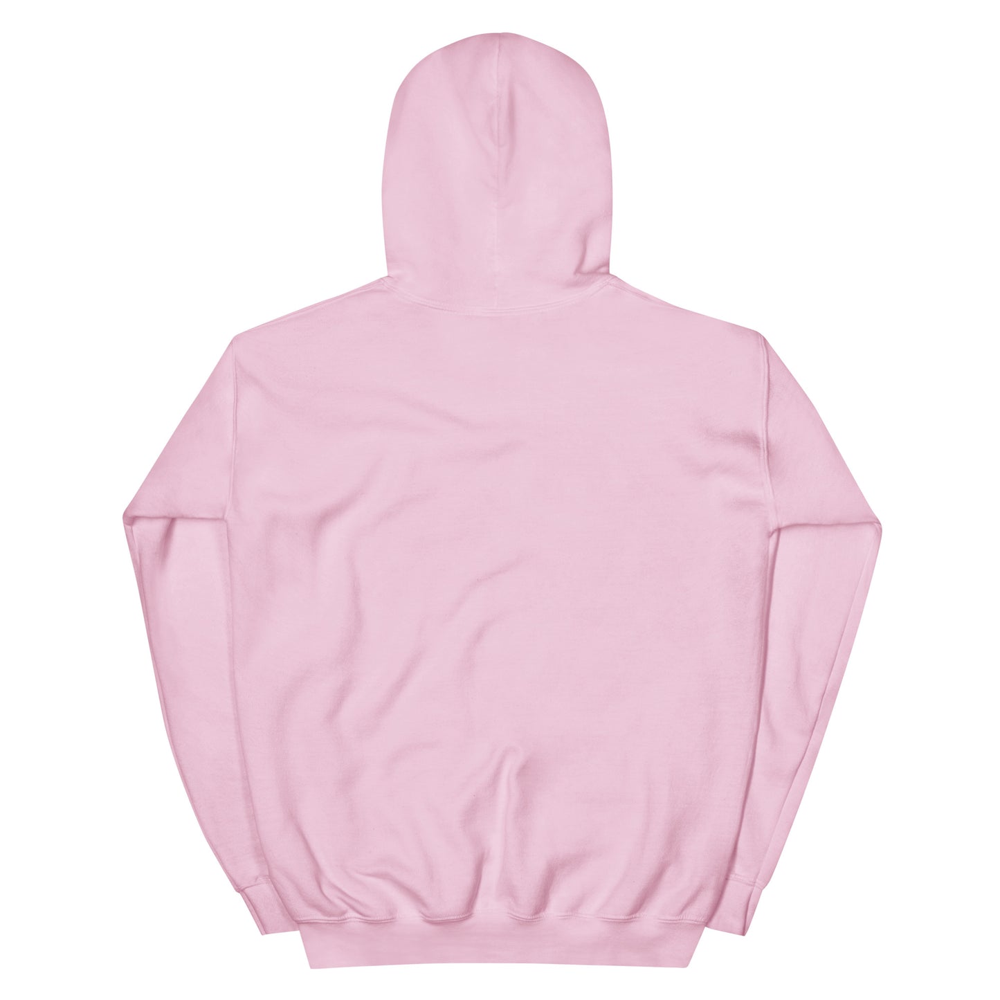 LB Unisex Hoodie